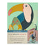 Toucan