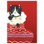 Black & White cat in Christmas stocking (PAW19)