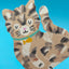 Cute Tabby Kitten Shaped Mini Greeting Card Detail