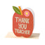 Thank you teacher apple (LIJ31)