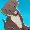 Chocolate Brown Puppy