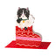 Black & White cat in Christmas stocking (PAW19)