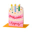 Penblwydd Hapus (Happy Birthday) (WEL03)