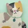 Tabby Cat