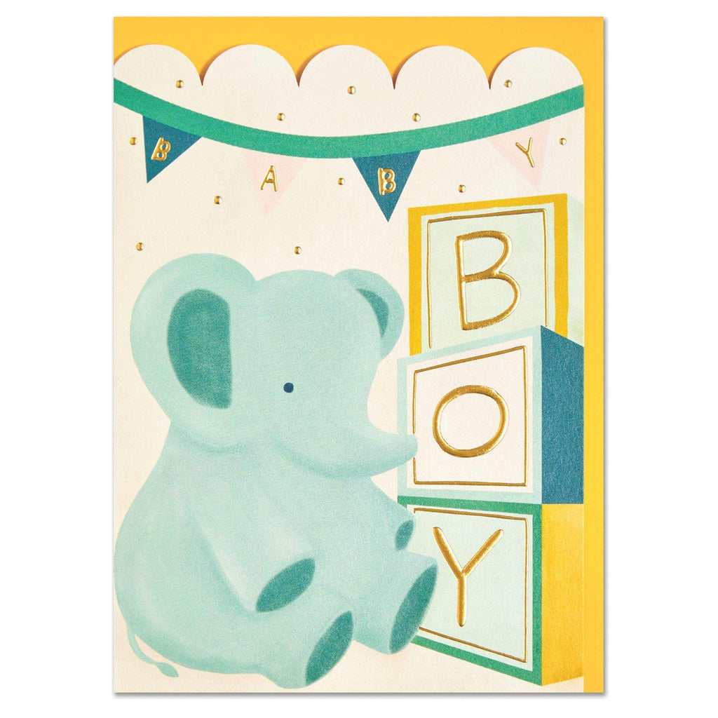 Baby boy' elephant