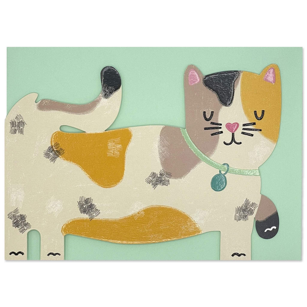 Tabby Cat