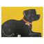 Black Labrador card product shot