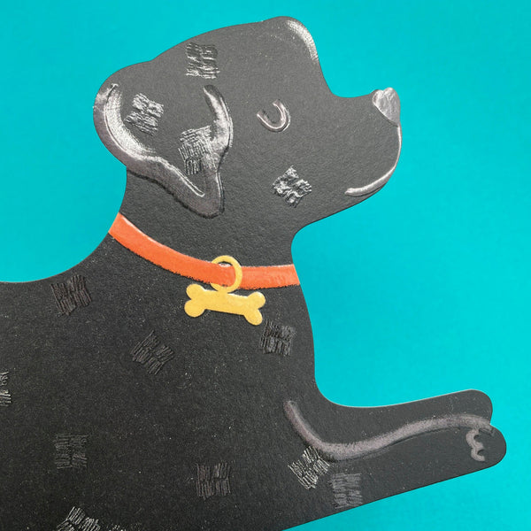 Black Labrador card detail shot