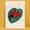 Colourful Ladybird Illustration Childrens Print